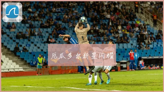 厄瓜多尔新星闪耀