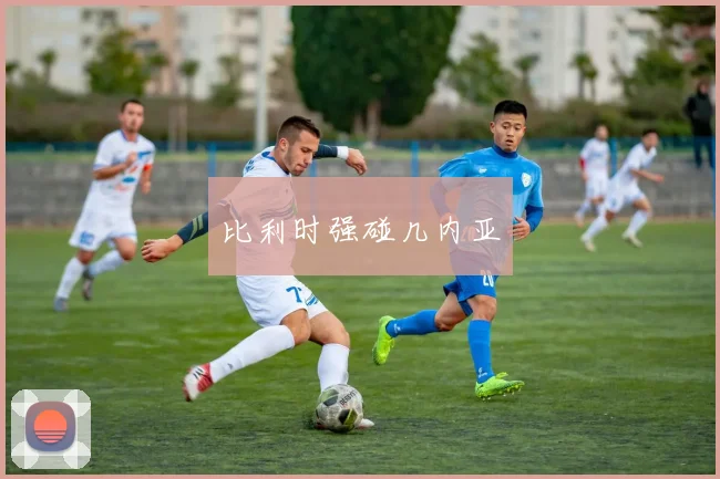 比利时强碰几内亚
