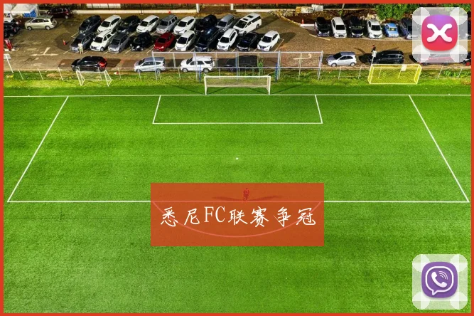 悉尼FC联赛争冠