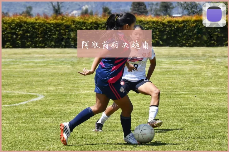 阿联酋对决越南