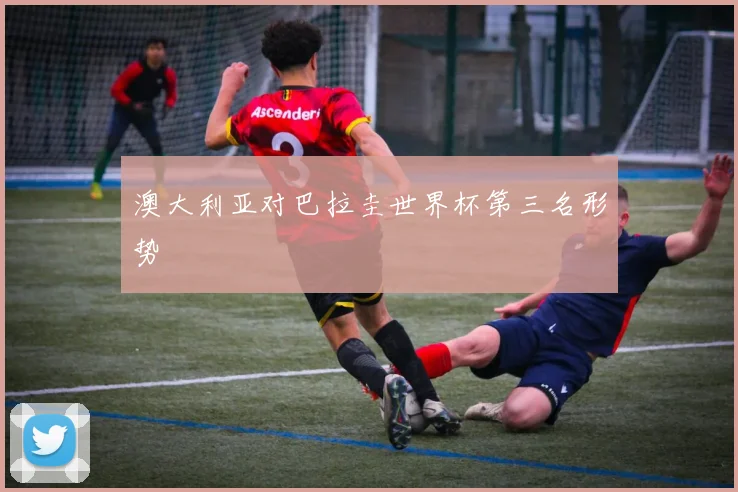 澳大利亚对巴拉圭世界杯第三名形势