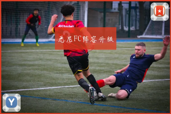 悉尼FC阵容升级