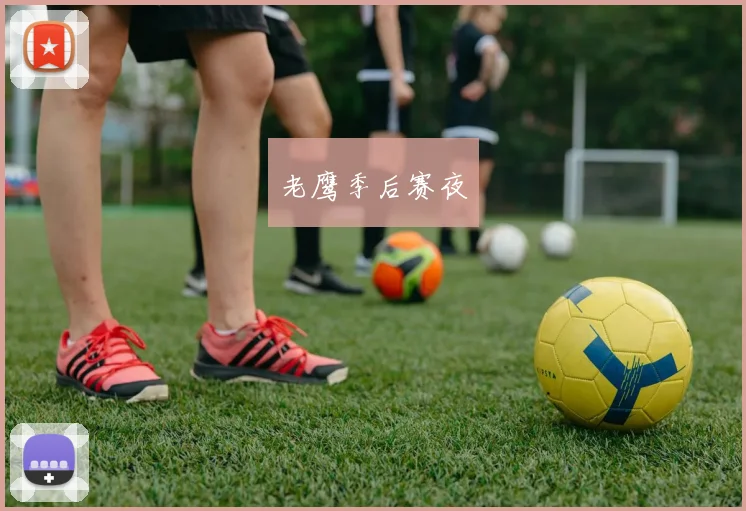 老鹰季后赛夜