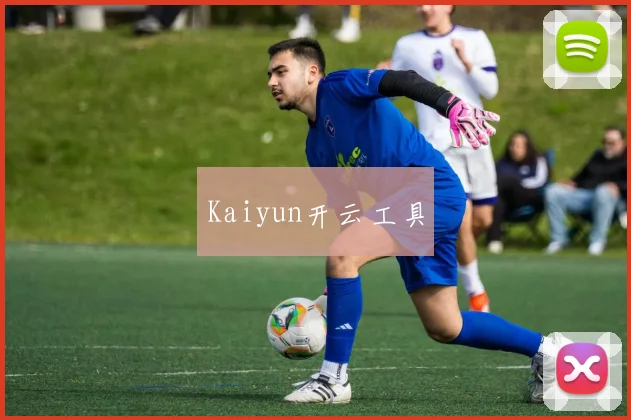 Kaiyun开云工具