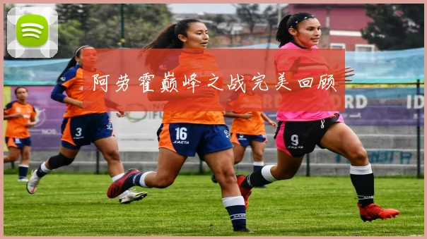 阿劳霍巅峰之战完美回顾