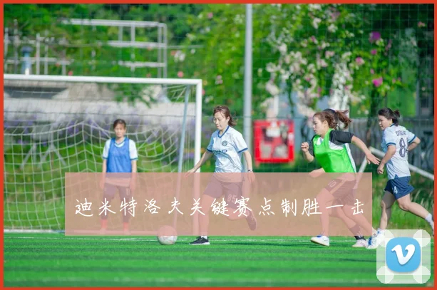 迪米特洛夫关键赛点制胜一击