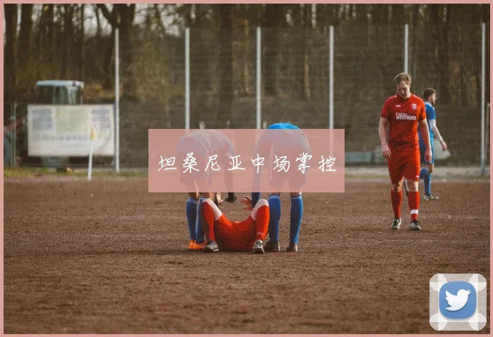 坦桑尼亚中场掌控