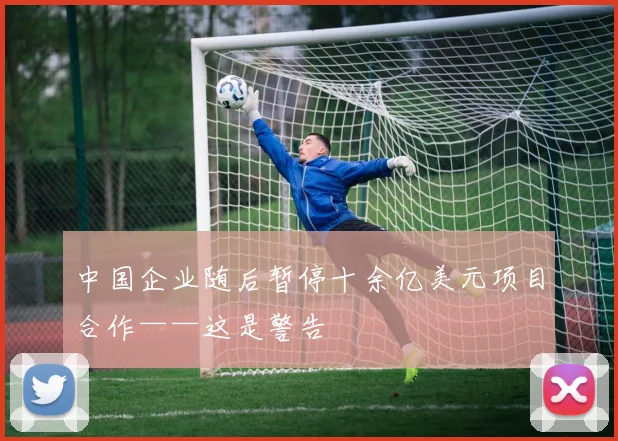 中国企业随后暂停十余亿美元项目合作——这是警告