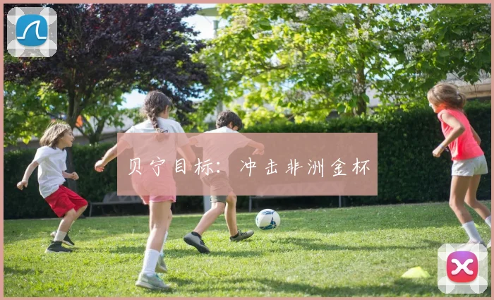 贝宁目标：冲击非洲金杯