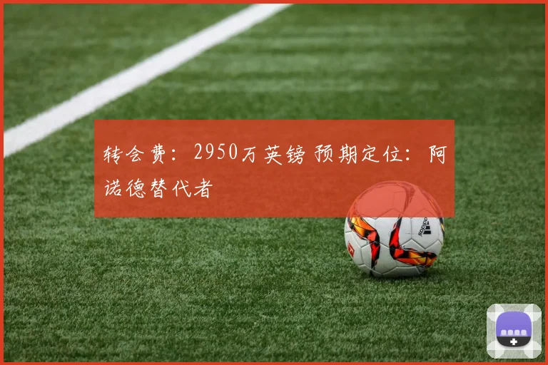 转会费：2950万英镑 预期定位：阿诺德替代者