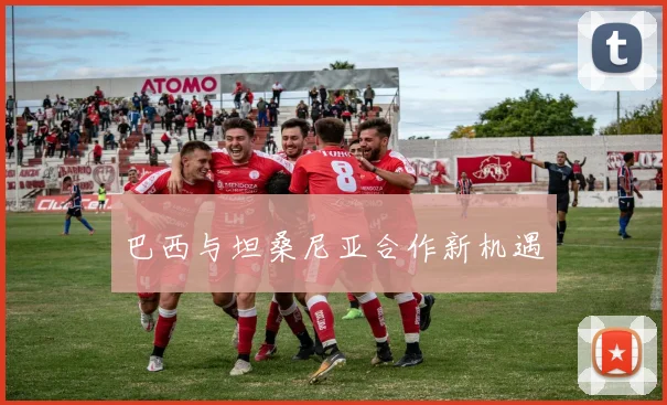 巴西与坦桑尼亚合作新机遇