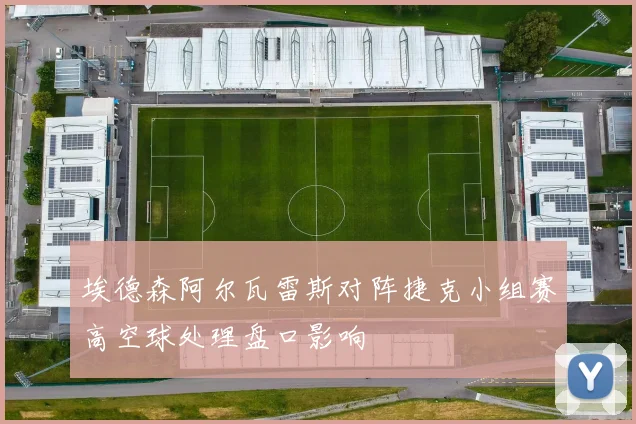 埃德森阿尔瓦雷斯对阵捷克小组赛高空球处理盘口影响