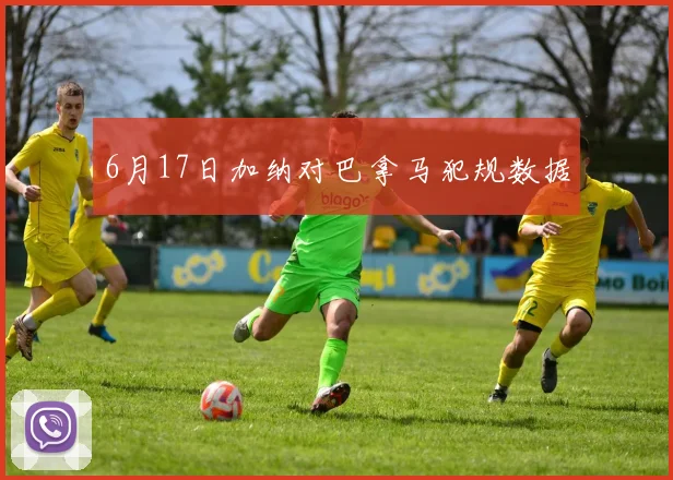 6月17日加纳对巴拿马犯规数据