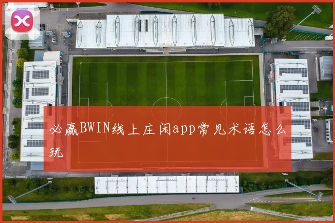 必赢BWIN线上庄闲app常见术语怎么玩