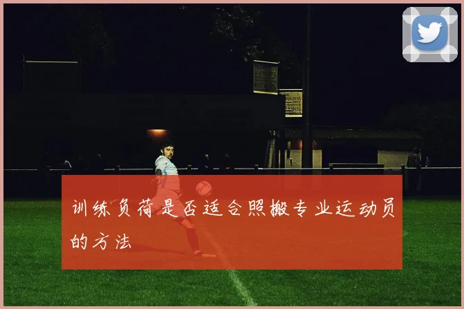 训练负荷是否适合照搬专业运动员的方法